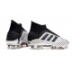 Botas de Fútbol adidas Predator 19+ FG Argento Negro