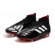 Zapatillas de fútbol adidas Predator 19.1 FG Negro