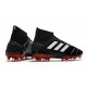 Zapatillas de fútbol adidas Predator 19.1 FG Negro